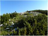 Lovska koča na Brežičih - Vodotočno jezero (Veža)